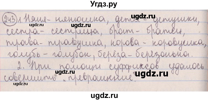 ГДЗ (Решебник №1 к учебнику 2014) по русскому языку 5 класс Л.А. Мурина / часть 2 / упражнение / 243