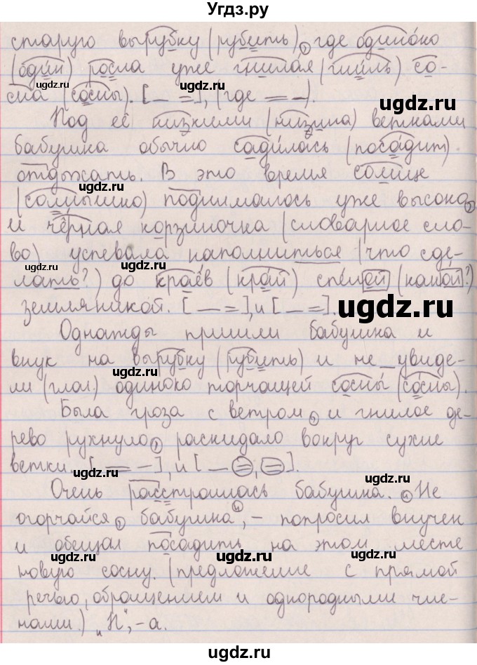 ГДЗ (Решебник №1 к учебнику 2014) по русскому языку 5 класс Л.А. Мурина / часть 2 / упражнение / 254(продолжение 2)