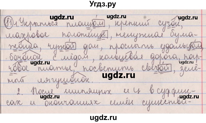 ГДЗ (Решебник №1 к учебнику 2014) по русскому языку 5 класс Л.А. Мурина / часть 2 / упражнение / 81