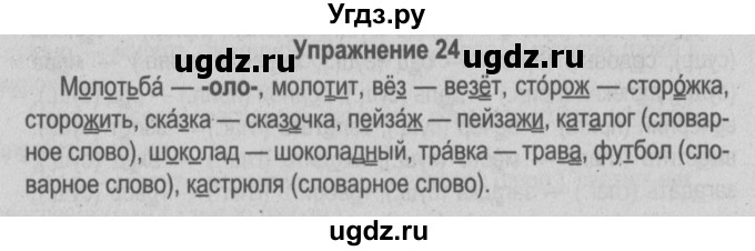 ГДЗ (Решебник №3 к учебнику 2014) по русскому языку 5 класс Л.А. Мурина / часть 2 / упражнение / 24