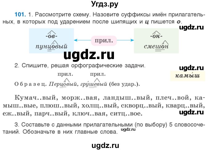 ГДЗ (Учебник) по русскому языку 5 класс Л.А. Мурина / часть 2 / упражнение / 101