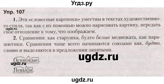 ГДЗ (Решебник №2 к учебнику 2019) по русскому языку 5 класс Л.А. Мурина / часть 1 / упражнение / 107