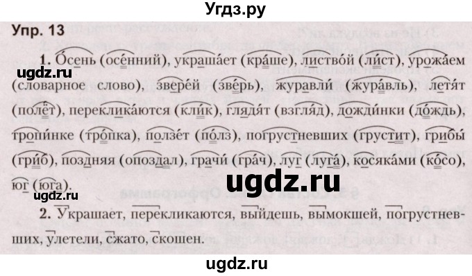 ГДЗ (Решебник №2 к учебнику 2019) по русскому языку 5 класс Л.А. Мурина / часть 1 / упражнение / 13