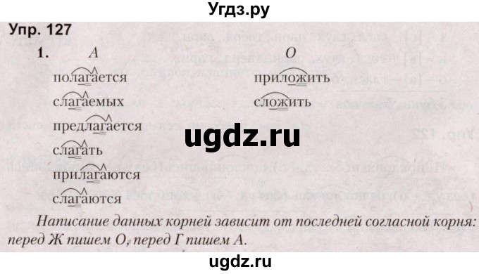 ГДЗ (Решебник №2 к учебнику 2019) по русскому языку 5 класс Л.А. Мурина / часть 2 / упражнение / 127