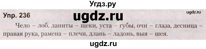 ГДЗ (Решебник №2 к учебнику 2019) по русскому языку 5 класс Л.А. Мурина / часть 2 / упражнение / 236