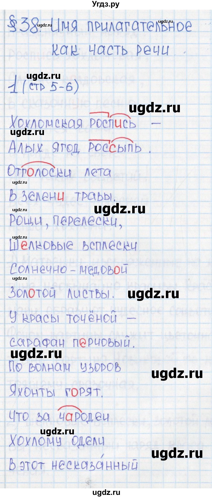 ГДЗ (Решебник) по русскому языку 6 класс (Рабочая тетрадь) Л. М. Рыбченкова / часть 2. страница номер / 5