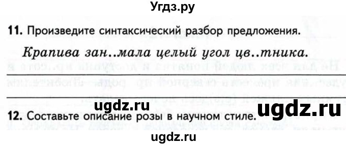 ГДЗ (Учебник) по русскому языку 6 класс (рабочая тетрадь) Малюшкин А. Б. / тексты / 11(продолжение 3)