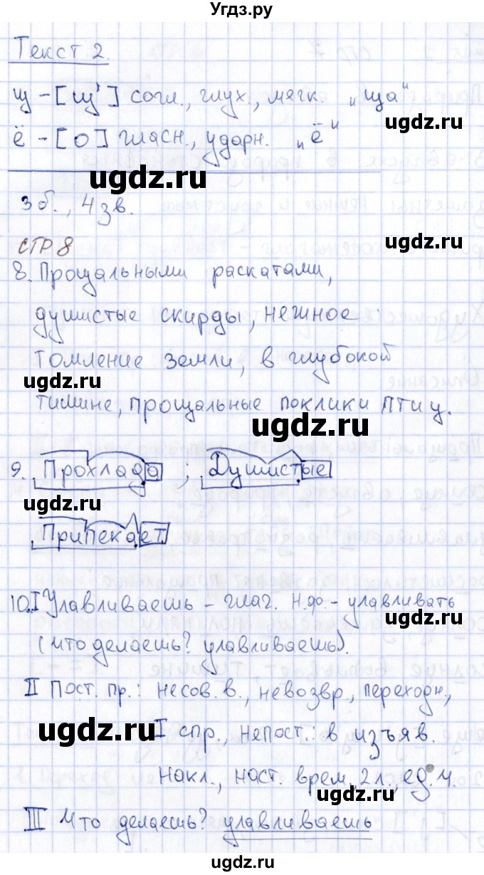 ГДЗ (Решебник) по русскому языку 6 класс (рабочая тетрадь) Малюшкин А. Б. / тексты / 2(продолжение 3)