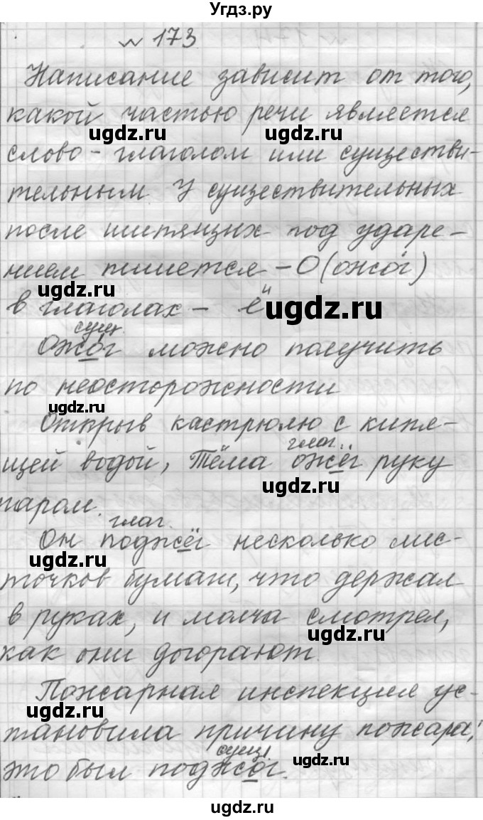 ГДЗ (Решебник к учебнику 2016) по русскому языку 6 класс (Практика) Г.К. Лидман-Орлова / упражнение / 173