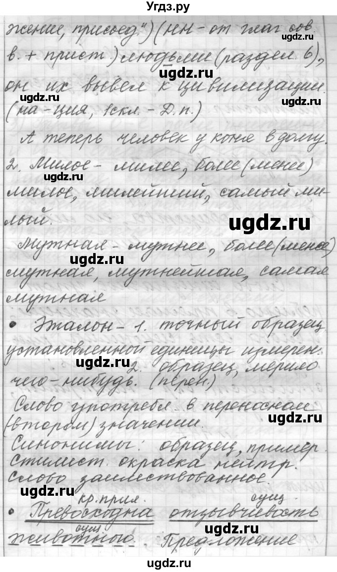 ГДЗ (Решебник к учебнику 2016) по русскому языку 6 класс (Практика) Г.К. Лидман-Орлова / упражнение / 446(продолжение 3)