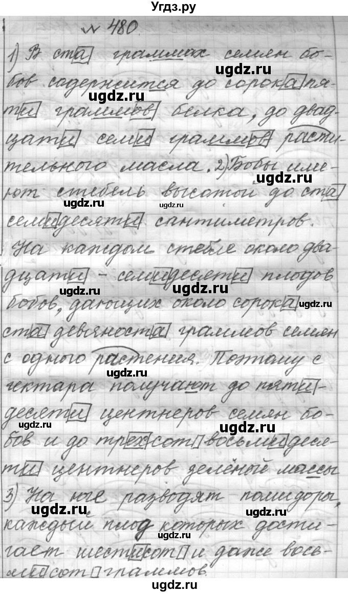 ГДЗ (Решебник к учебнику 2016) по русскому языку 6 класс (Практика) Г.К. Лидман-Орлова / упражнение / 480