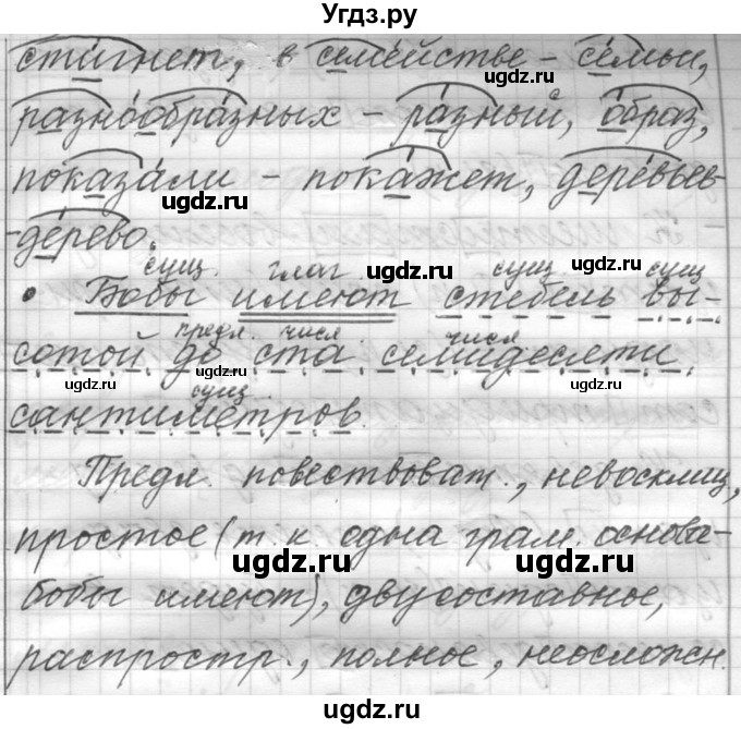 ГДЗ (Решебник к учебнику 2016) по русскому языку 6 класс (Практика) Г.К. Лидман-Орлова / упражнение / 480(продолжение 3)