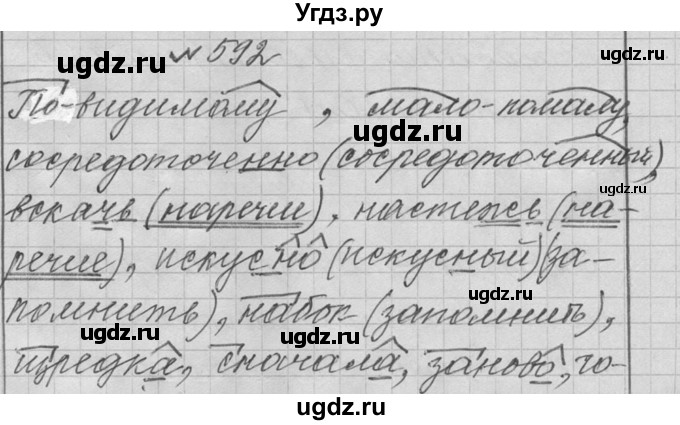 ГДЗ (Решебник к учебнику 2016) по русскому языку 6 класс (Практика) Г.К. Лидман-Орлова / упражнение / 592