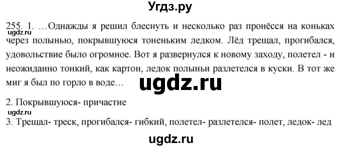 ГДЗ (Решебник к учебнику 2021) по русскому языку 6 класс (Практика) Г.К. Лидман-Орлова / упражнение / 255