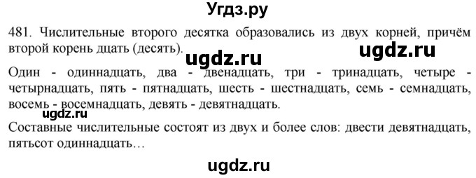 ГДЗ (Решебник к учебнику 2021) по русскому языку 6 класс (Практика) Г.К. Лидман-Орлова / упражнение / 481