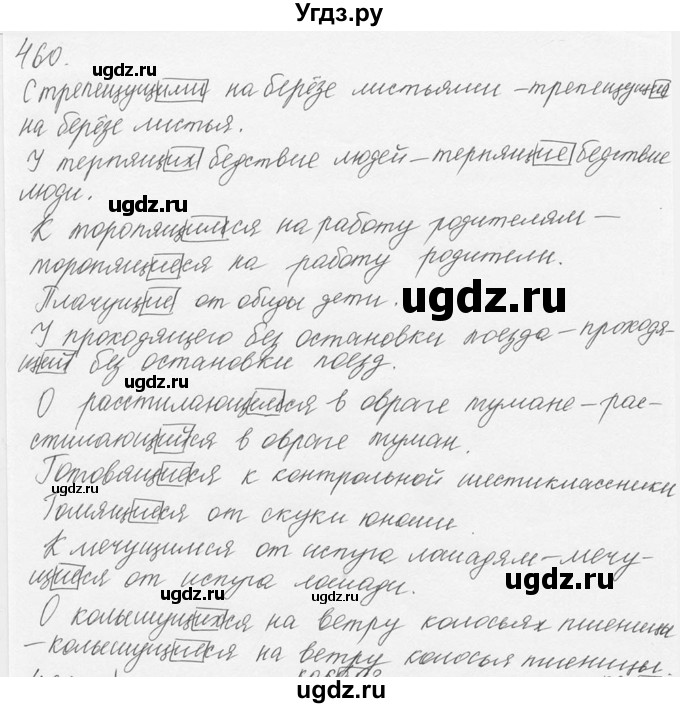 ГДЗ (Решебник №3) по русскому языку 6 класс С.И. Львова / упражнение номер / 460