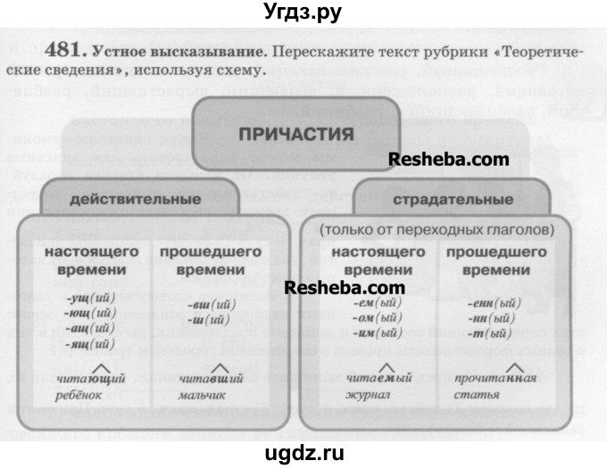 ГДЗ (Учебник) по русскому языку 6 класс С.И. Львова / упражнение номер / 481