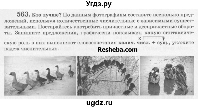 ГДЗ (Учебник) по русскому языку 6 класс С.И. Львова / упражнение номер / 563