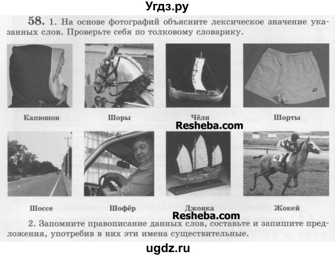 ГДЗ (Учебник) по русскому языку 6 класс С.И. Львова / упражнение номер / 58