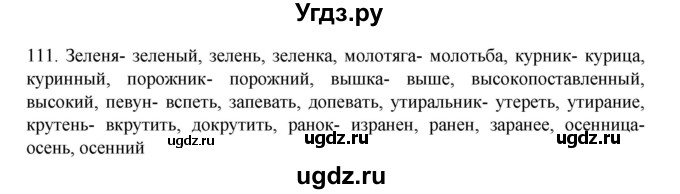 ГДЗ (Решебник к учебнику 2020) по русскому языку 6 класс М.М. Разумовская / упражнение / 111