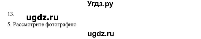 ГДЗ (Решебник к учебнику 2020) по русскому языку 6 класс М.М. Разумовская / упражнение / 13(продолжение 5)