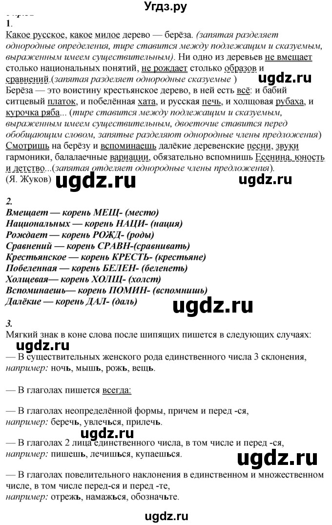 ГДЗ (Решебник к учебнику 2020) по русскому языку 6 класс М.М. Разумовская / упражнение / 25