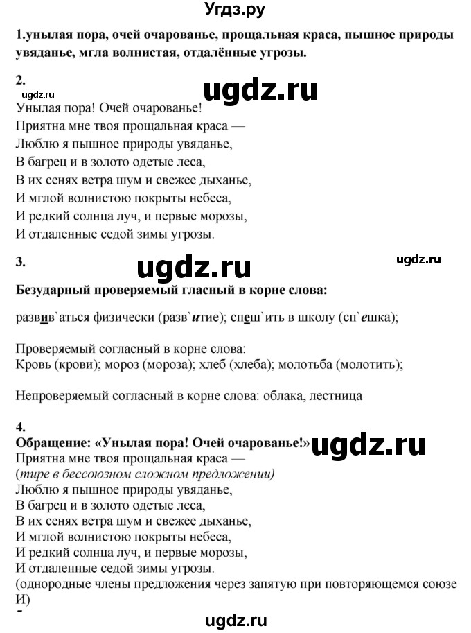 ГДЗ (Решебник к учебнику 2020) по русскому языку 6 класс М.М. Разумовская / упражнение / 39