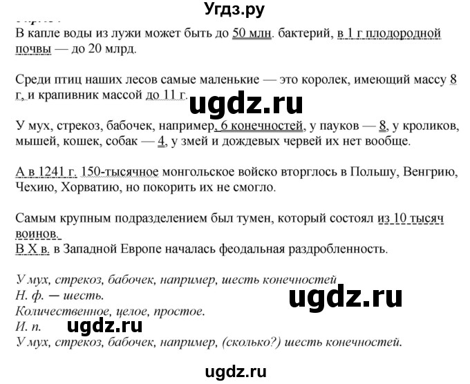ГДЗ (Решебник к учебнику 2020) по русскому языку 6 класс М.М. Разумовская / упражнение / 391