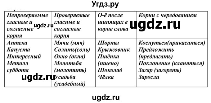 ГДЗ (Решебник к учебнику 2020) по русскому языку 6 класс М.М. Разумовская / упражнение / 41