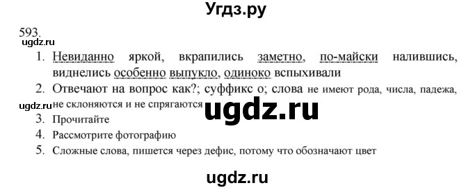 ГДЗ (Решебник к учебнику 2020) по русскому языку 6 класс М.М. Разумовская / упражнение / 593
