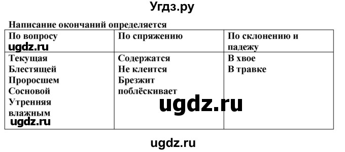 ГДЗ (Решебник к учебнику 2020) по русскому языку 6 класс М.М. Разумовская / упражнение / 64