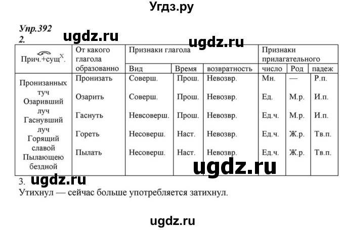 ГДЗ (Решебник к учебнику 2015) по русскому языку 6 класс М.М. Разумовская / упражнение / 392