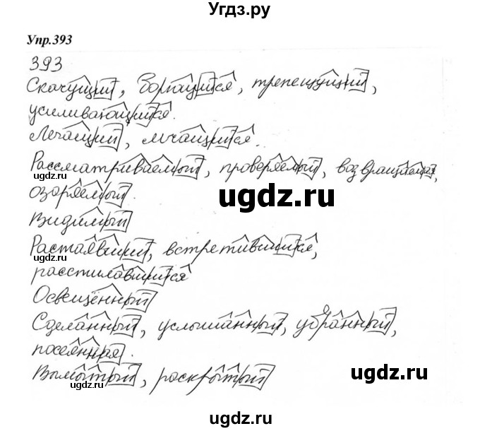 ГДЗ (Решебник к учебнику 2015) по русскому языку 6 класс М.М. Разумовская / упражнение / 393