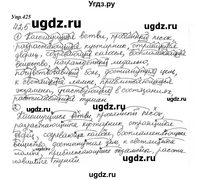 ГДЗ (Решебник к учебнику 2015) по русскому языку 6 класс М.М. Разумовская / упражнение / 425