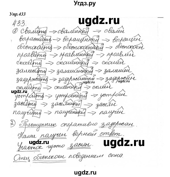 ГДЗ (Решебник к учебнику 2015) по русскому языку 6 класс М.М. Разумовская / упражнение / 433