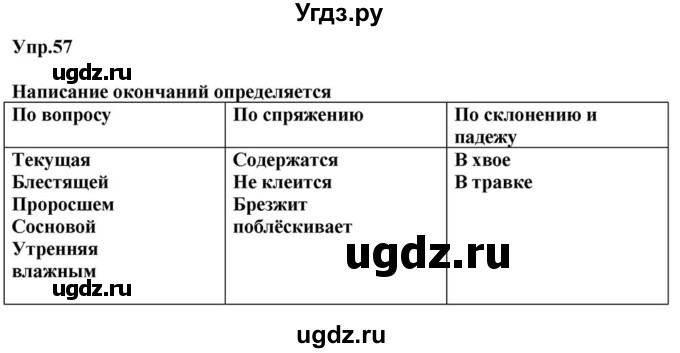 ГДЗ (Решебник к учебнику 2015) по русскому языку 6 класс М.М. Разумовская / упражнение / 57