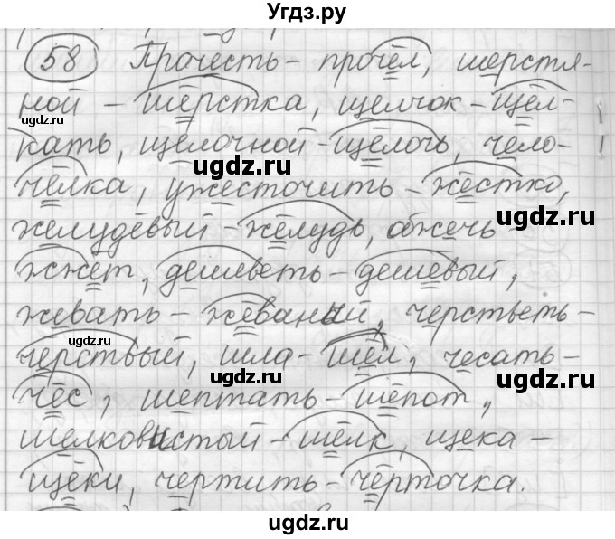 ГДЗ (Решебник) по русскому языку 7 класс Шмелев А.Д. / глава 2 номер / 58