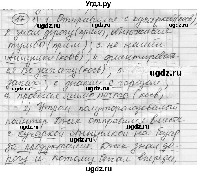 ГДЗ (Решебник) по русскому языку 7 класс Шмелев А.Д. / глава 7 номер / 17