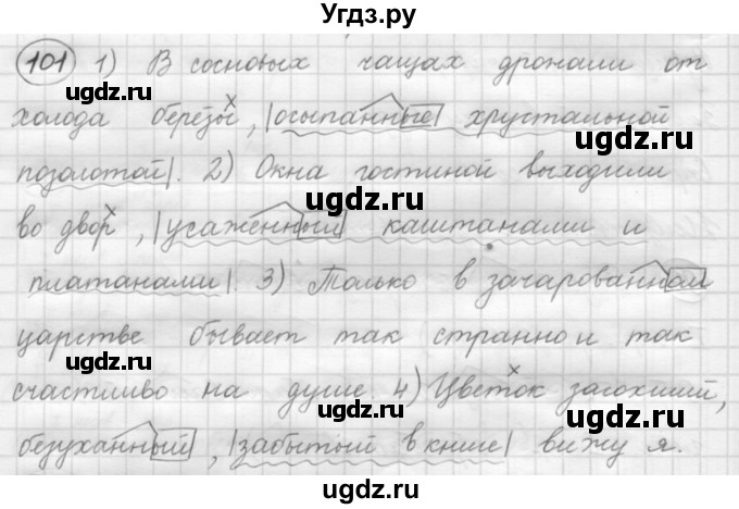 ГДЗ (Решебник к старому учебнику) по русскому языку 7 класс Л. М. Рыбченкова / упражнение / 101