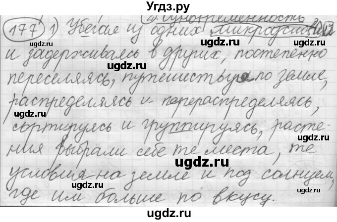 ГДЗ (Решебник к старому учебнику) по русскому языку 7 класс Л. М. Рыбченкова / упражнение / 177