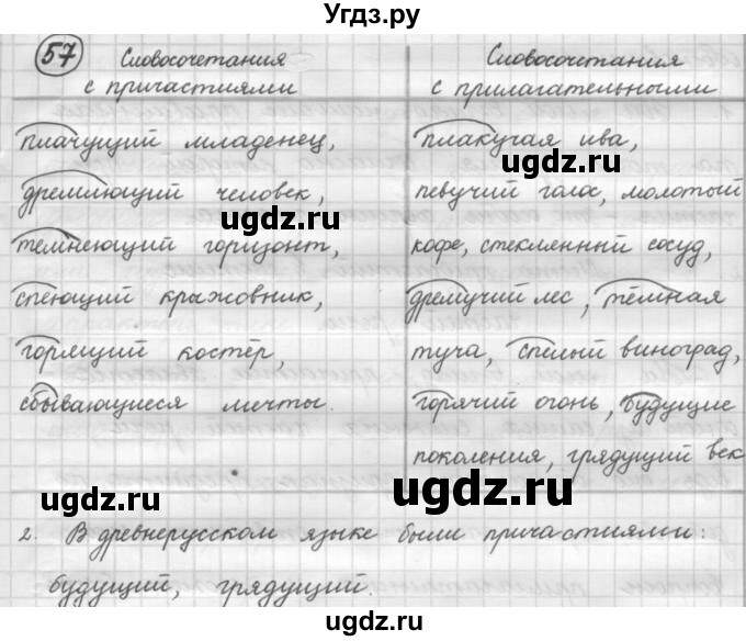 ГДЗ (Решебник к старому учебнику) по русскому языку 7 класс Л. М. Рыбченкова / упражнение / 57