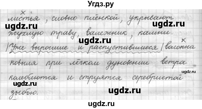 ГДЗ (Решебник к старому учебнику) по русскому языку 7 класс Л. М. Рыбченкова / упражнение / 65(продолжение 2)