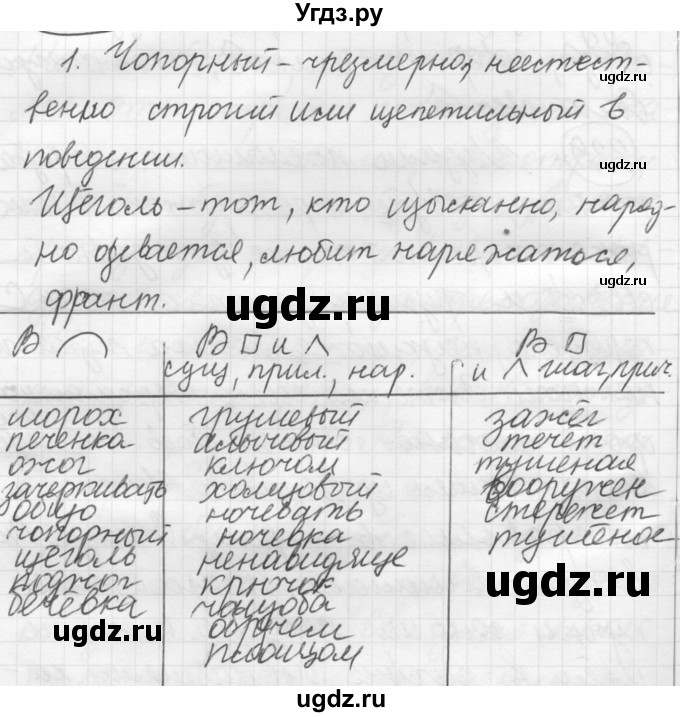 ГДЗ (Решебник к новому учебнику) по русскому языку 7 класс Л. М. Рыбченкова / упражнение / 330