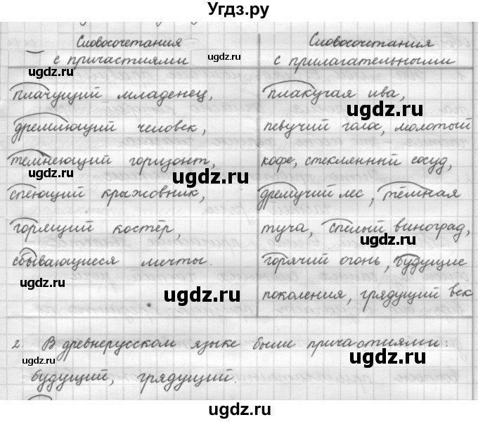 ГДЗ (Решебник к новому учебнику) по русскому языку 7 класс Л. М. Рыбченкова / упражнение / 83