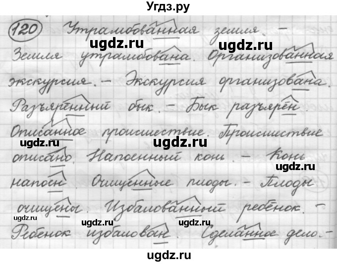 ГДЗ (Решебник 2016) по русскому языку 7 класс Л. М. Рыбченкова / упражнение / 120