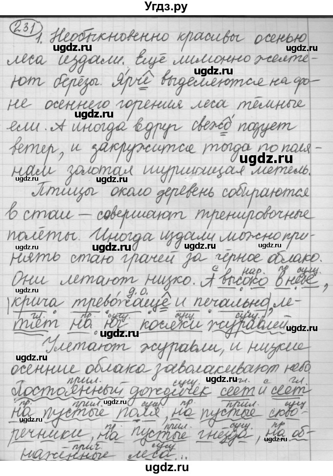 ГДЗ (Решебник 2016) по русскому языку 7 класс Л. М. Рыбченкова / упражнение / 231