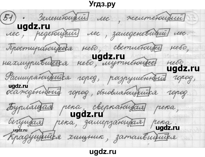 ГДЗ (Решебник 2016) по русскому языку 7 класс Л. М. Рыбченкова / упражнение / 51