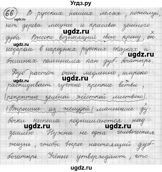ГДЗ (Решебник 2016) по русскому языку 7 класс Л. М. Рыбченкова / упражнение / 66