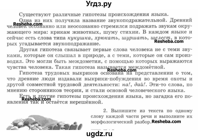 ГДЗ (Учебник) по русскому языку 7 класс С.И. Львова / номер упражнения / 711(продолжение 2)