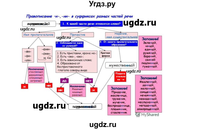 ГДЗ (Решебник к учебнику 2022) по русскому языку 7 класс (практика) С.Н. Пименова / упражнение / 206(продолжение 2)